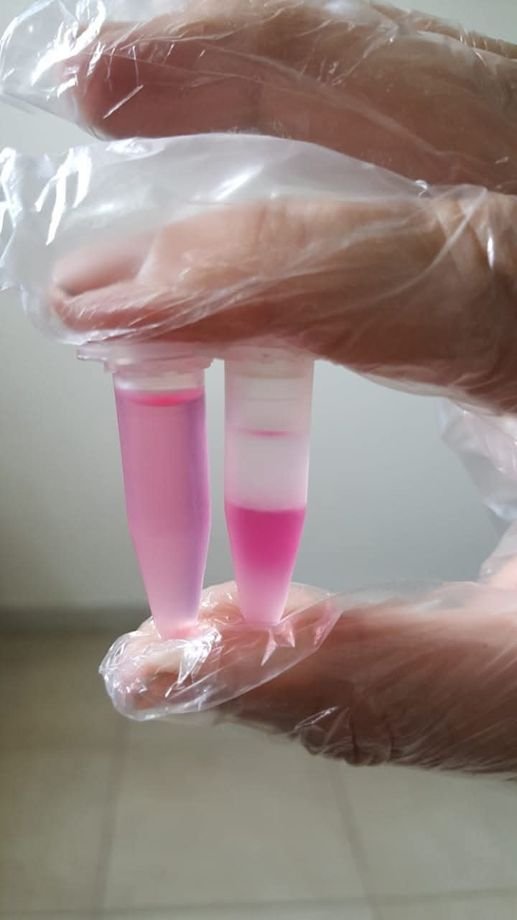 Sample tubes